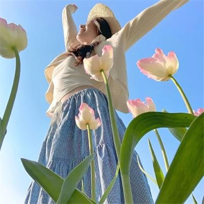 芈月传